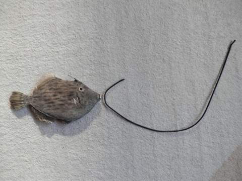 P2140120