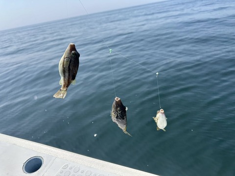 539864111_24327274653629028_2931997289581318728_n