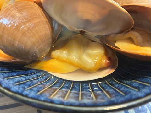 S__21946392_0