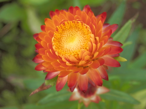 P7210054