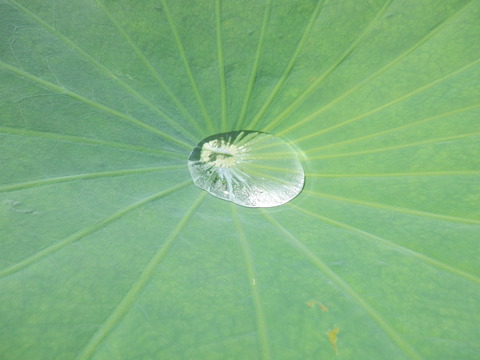 P6200021