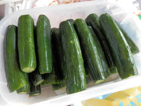 P6100078