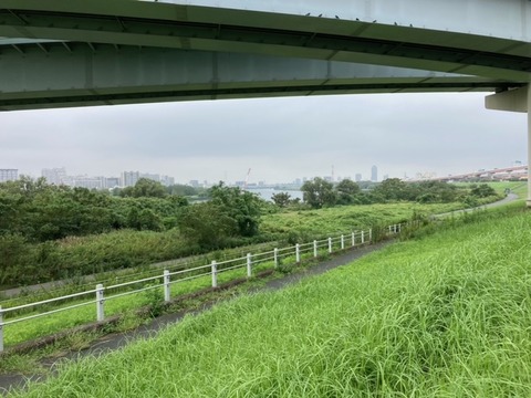 image31