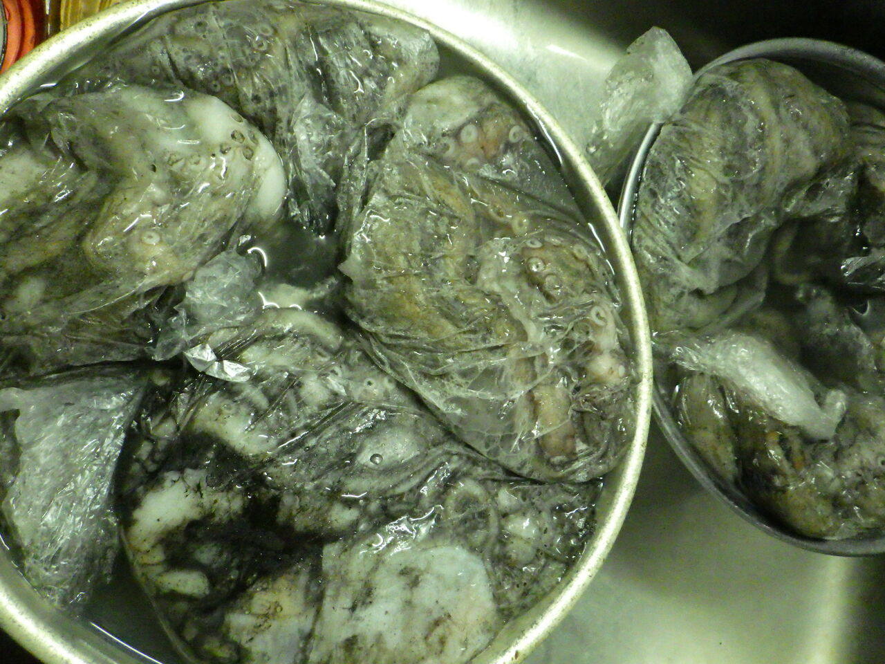 沢山のタコを茹でてみました 林良一ブログ Ryo S Method