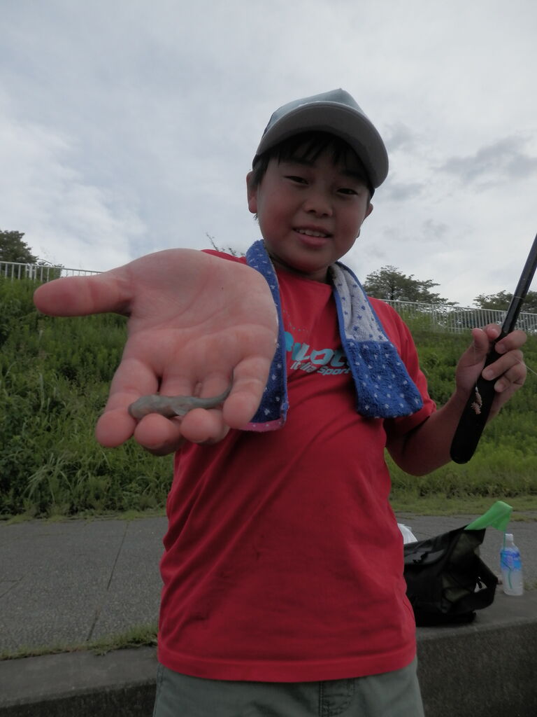 釣りは味なもの 芝川での釣り 林良一ブログ Ryo S Method
