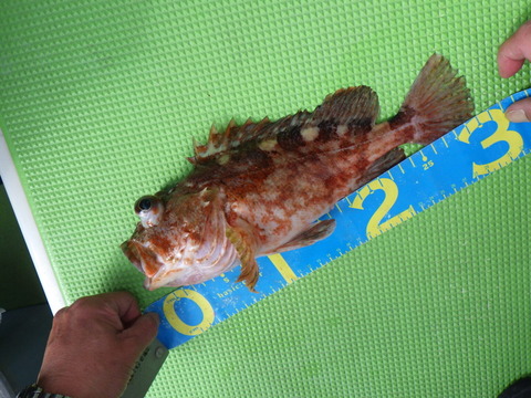 RIMG4704-1536x1152