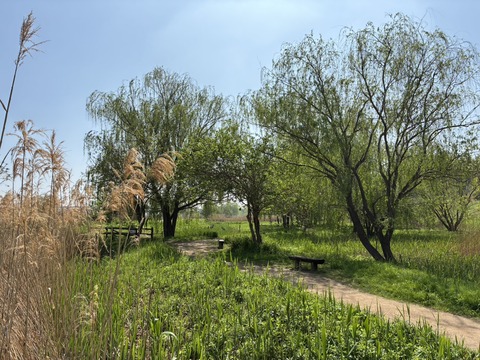 S__21659699_0