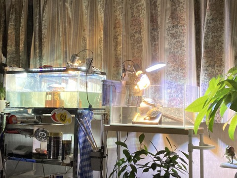 369276450_1013774999791233_3526717065076219310_n