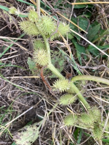 image15