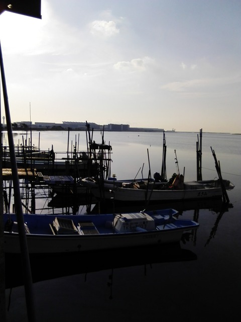 C360_2016-06-04-06-19-50-096