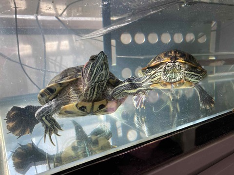 89bf781c-ede9-4275-a6ab-5ff8946cef4f