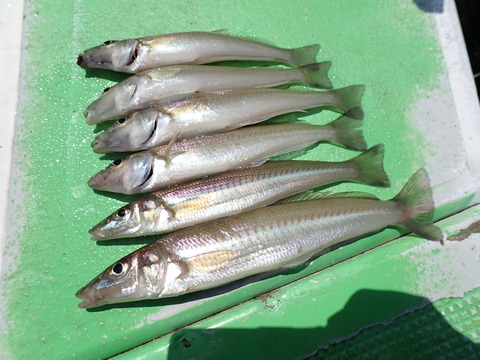 P5040043
