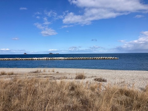 image8