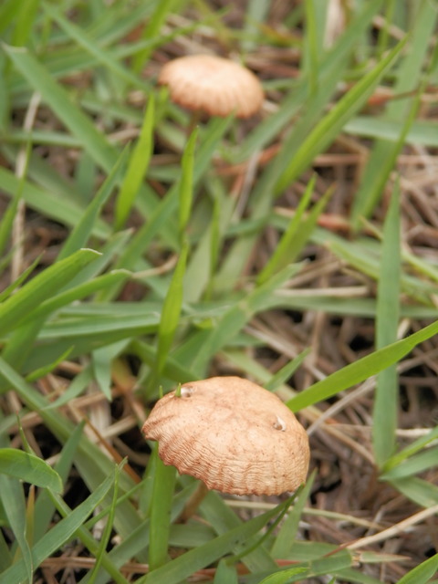 P7210012
