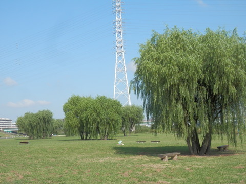P9050051