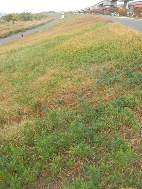 PB180015