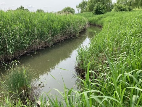 image15
