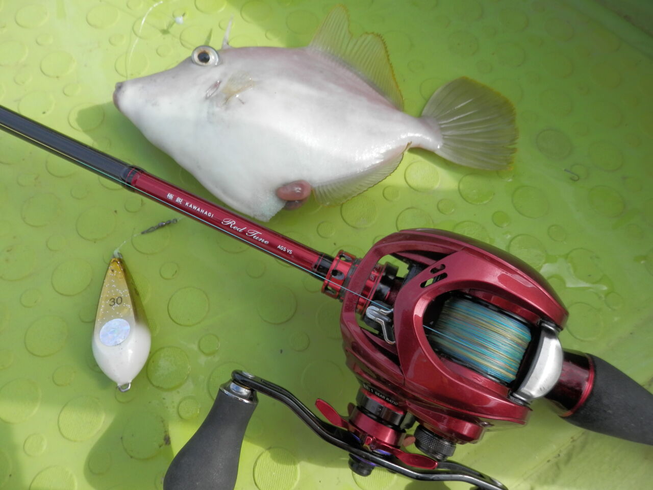 ロッド選びのご相談 林良一ブログ Ryo S Method