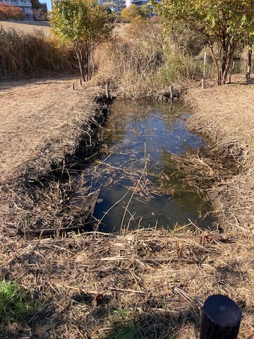 image9