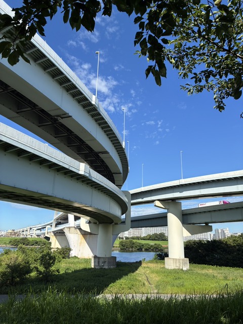 S__22822923_0