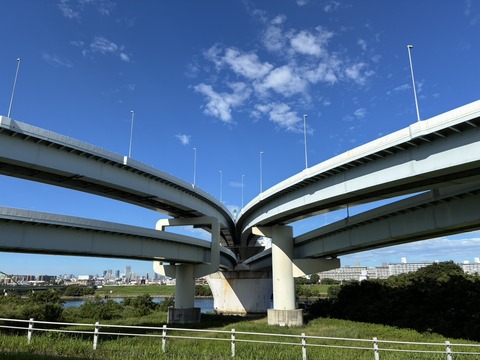 S__22822924_0