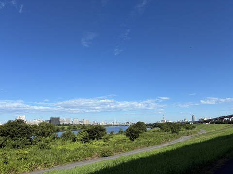 S__22822929_0