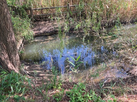 image5