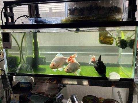 0275adb8-1bc2-4332-b469-d6c4a8f8f76c