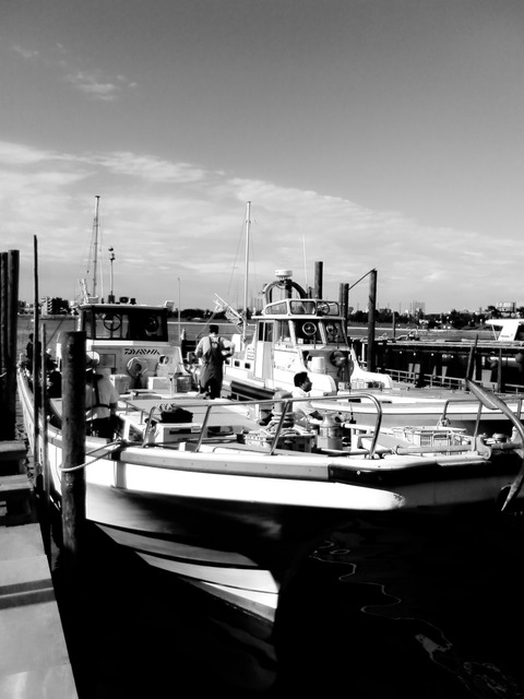 C360_2015-07-19-07-22-58-870