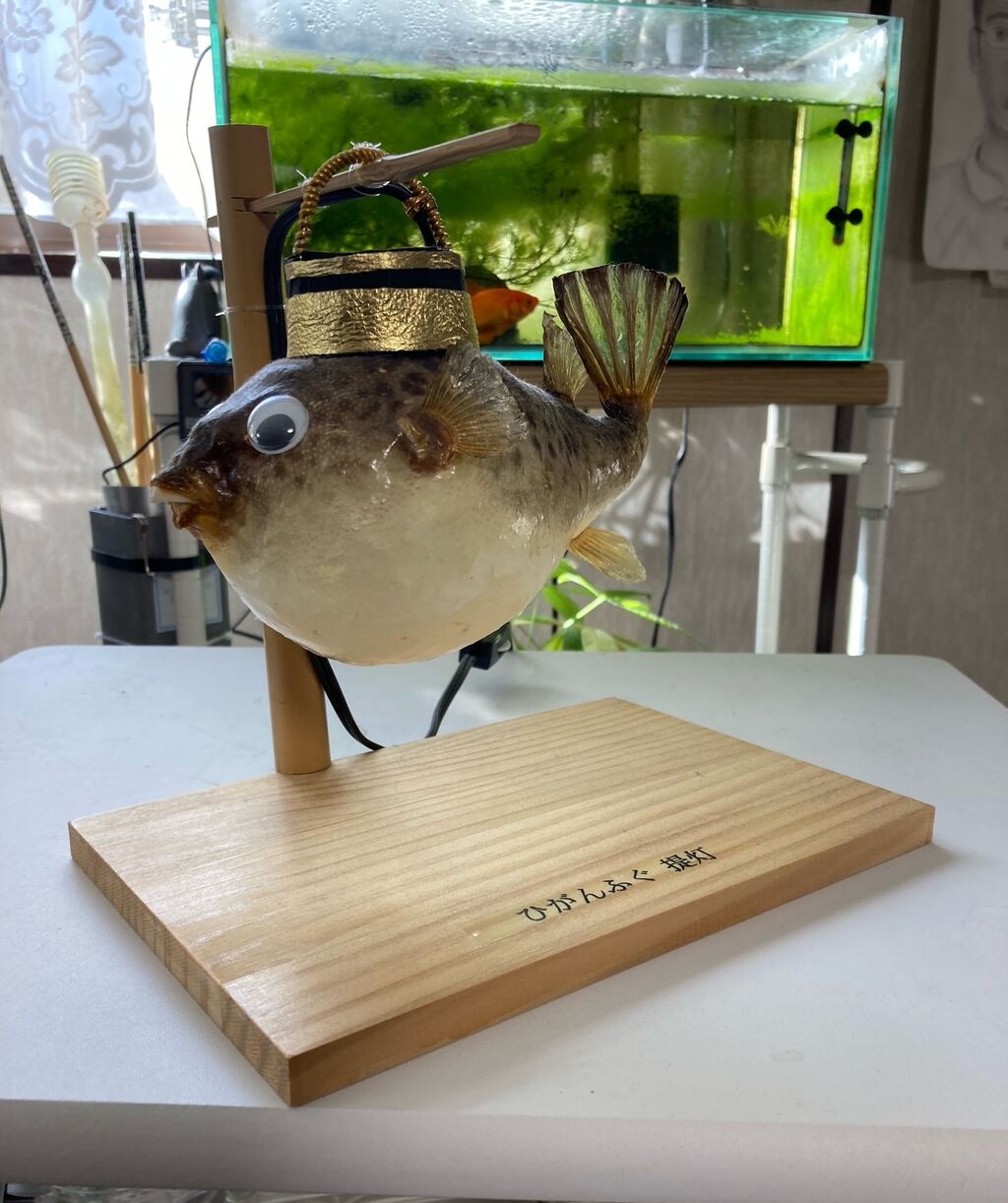 超特大ふぐふぐ提灯福膨らむふぐ河豚ハリセンボン疫病退散祈願