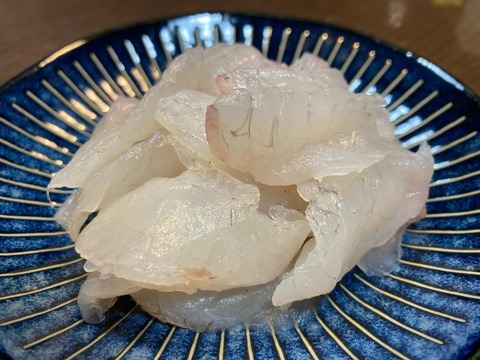 301508072_5453822114709419_371488289728711019_n