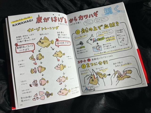 Amazonランキング1位 お魚イラストレシピ大百科 林良一ブログ Ryo S Method