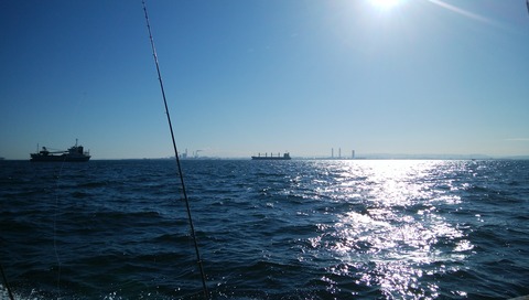 IMG_20211024_082139