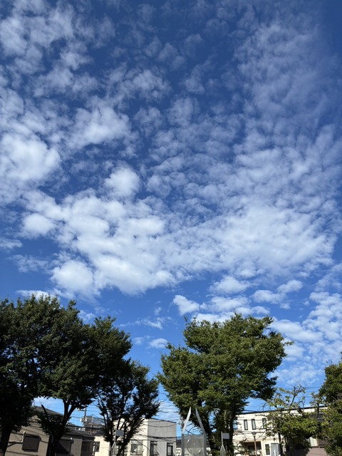 S__22822915_0