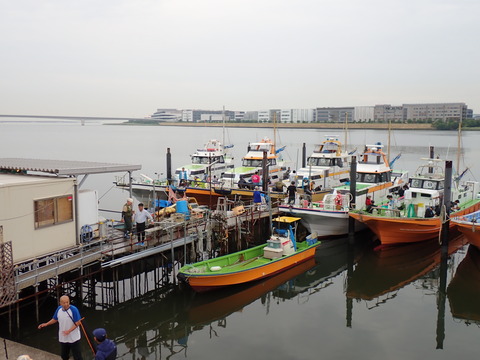 P6080007