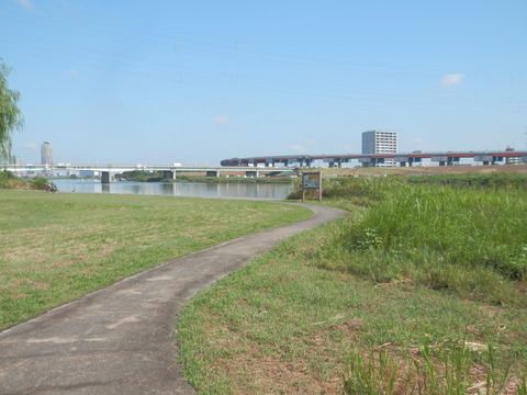 P9050050