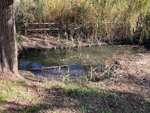 image6