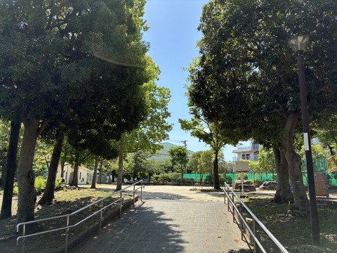 S__21929990_0