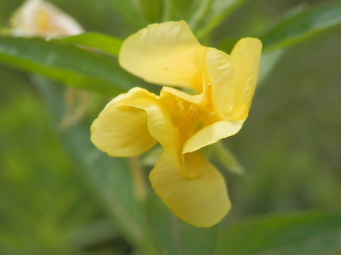 P7200001