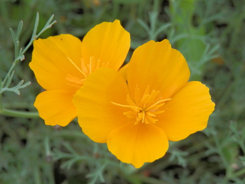 P7210042