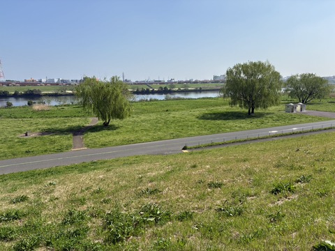 S__21659691_0