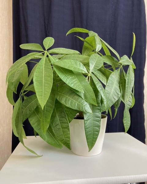 488406124_9510420832382840_3461576099050904623_n_0