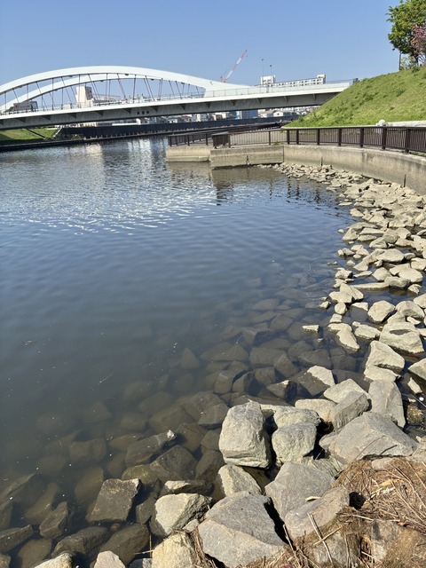 S__21659673_0