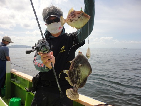 minosukemaru_2021060317379_11_large