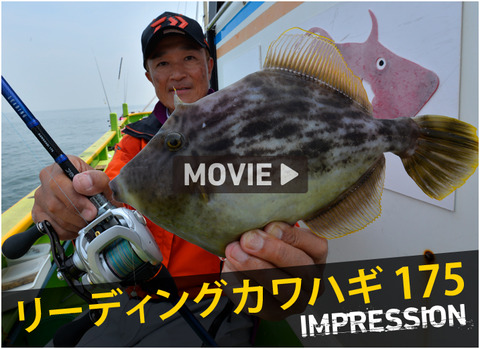 bnr_kawahagi_leading175