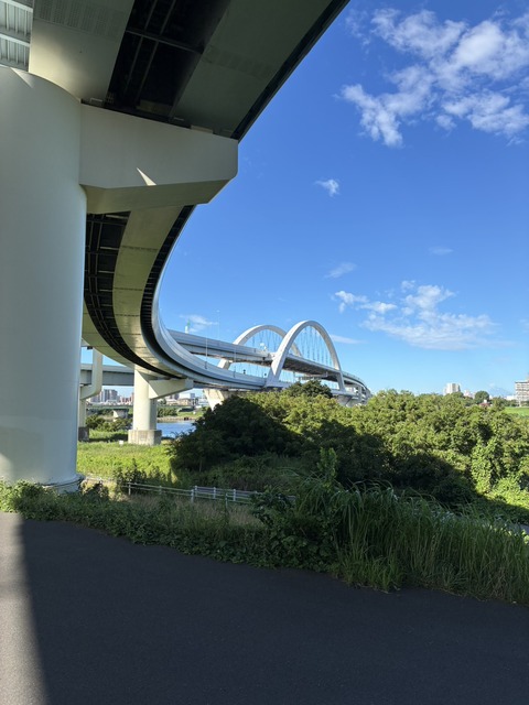 S__22822927_0