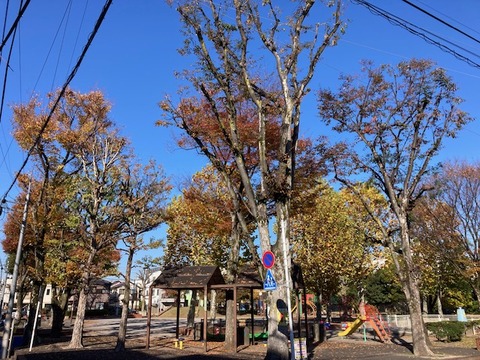 image0