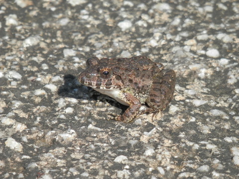 P9050036