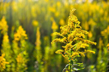 240_F_257817438_RNKLSkMG8Ewgk3VPpryMed3PUfqPCIyT