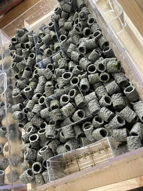 55b079f7-b2db-4835-94ed-8a336194652a